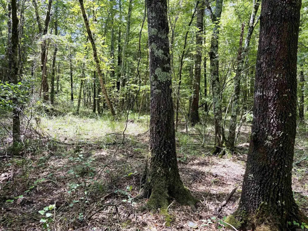 Picture 18