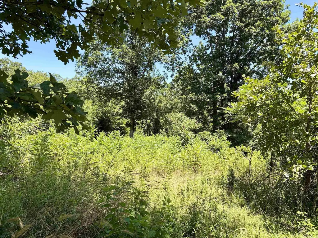 Picture 29