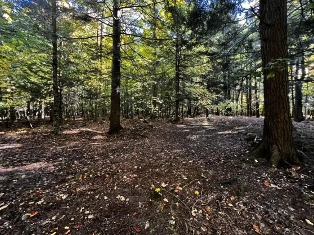 Picture 28