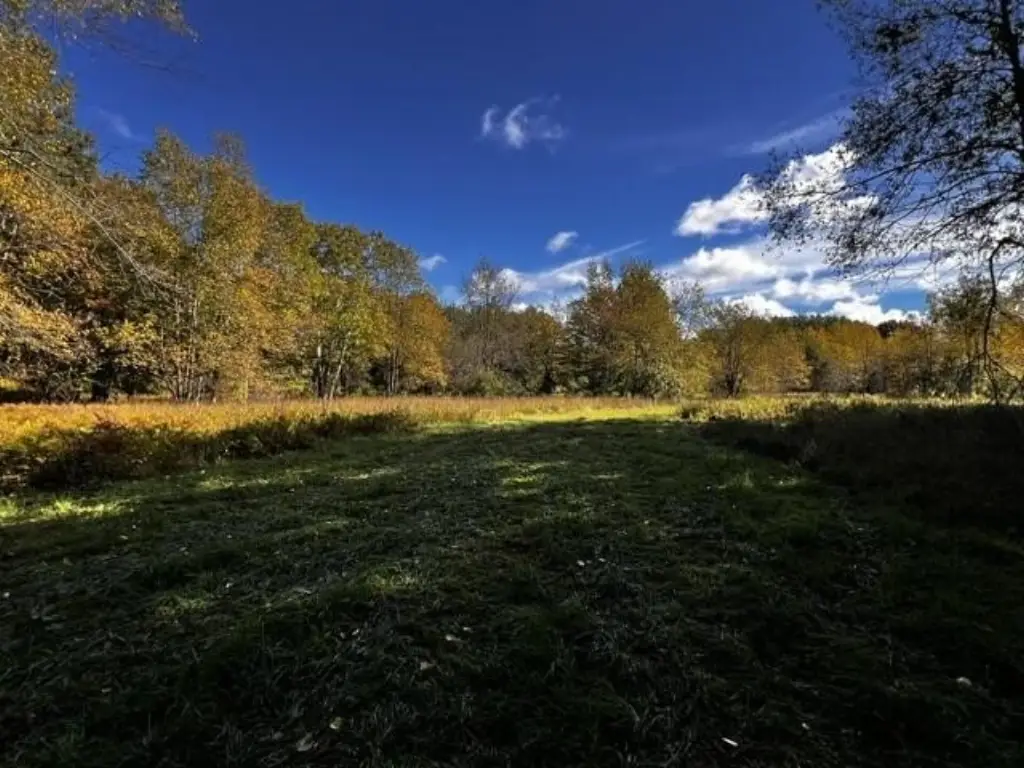 Picture 19