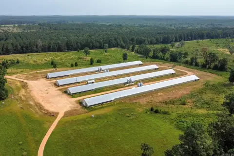 Turnkey Poultry Farm with Broiler Houses