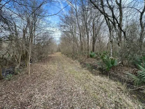 Oak Ridge Hunting Land Parcel
