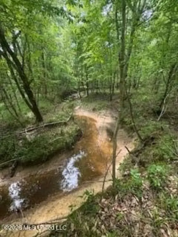 Picture 47