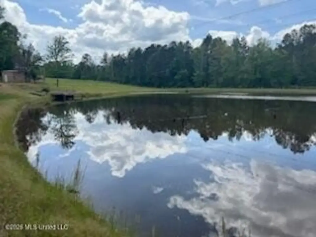 Picture 43