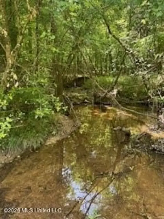 Picture 44