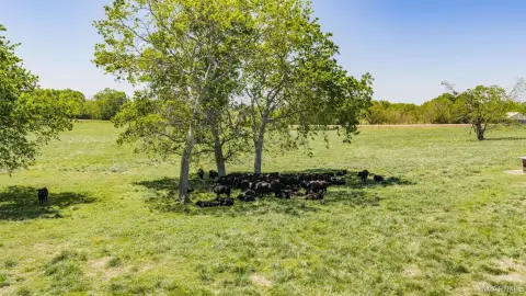 Agricultural Land with Road Frontage