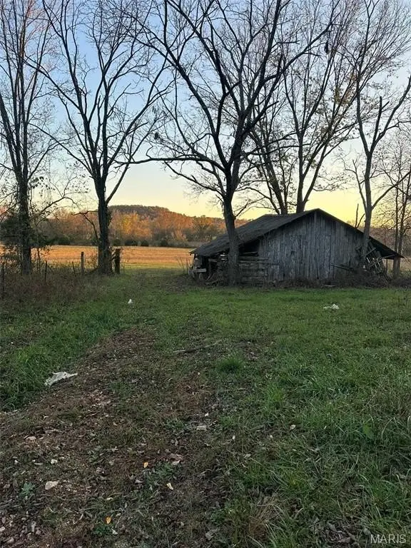 Picture 4