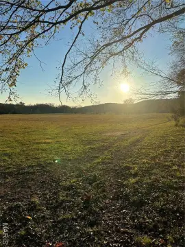 29.2 Acres in Fordland, MO