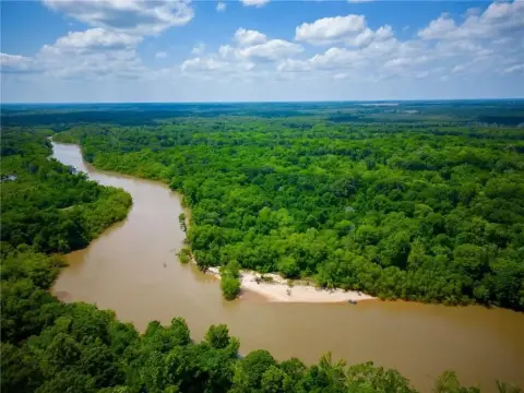 1376.50 Acres on Ocmulgee River