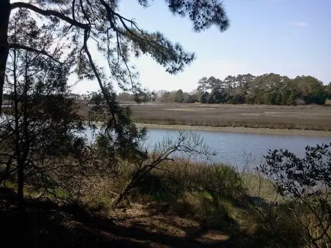 Land For Sale in PARKSLEY