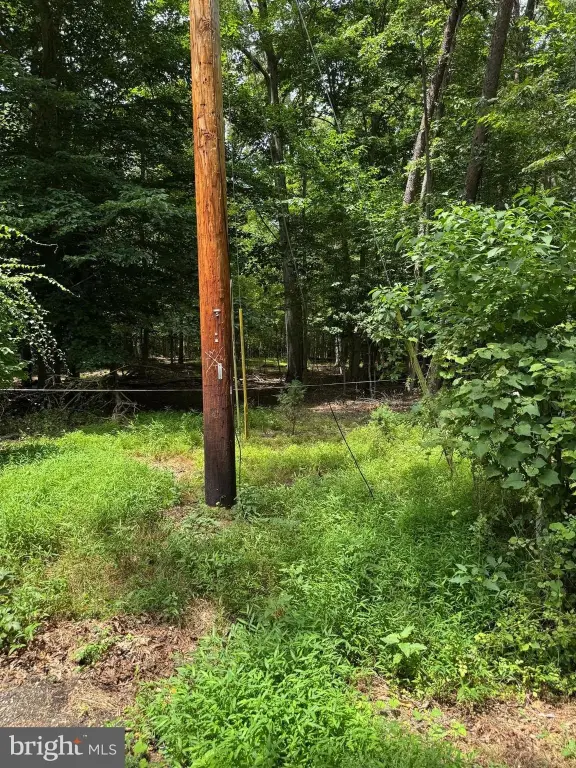Picture 5