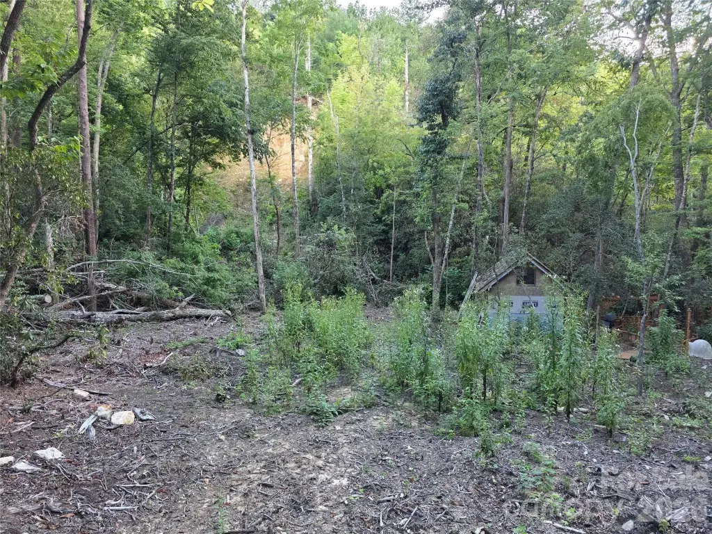 Picture 18