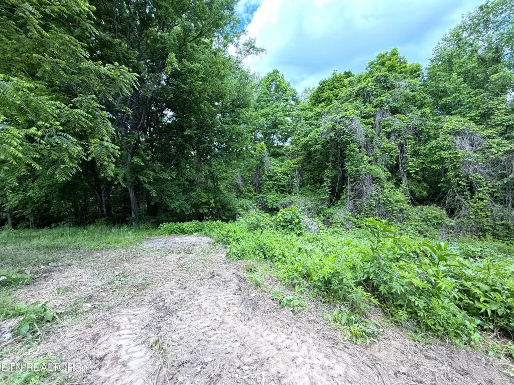 Picture 15