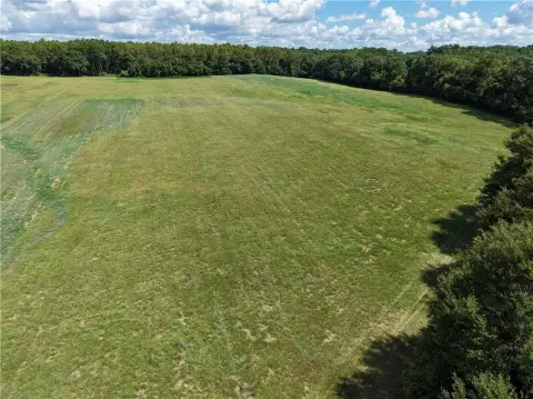 Cleared Agricultural Land