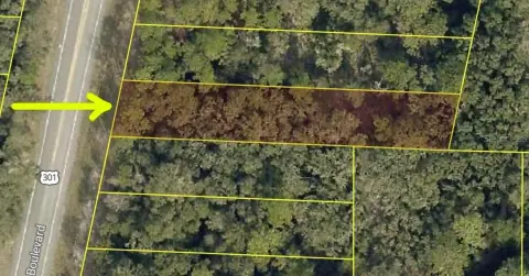 Vacant Lot in Webster, FL