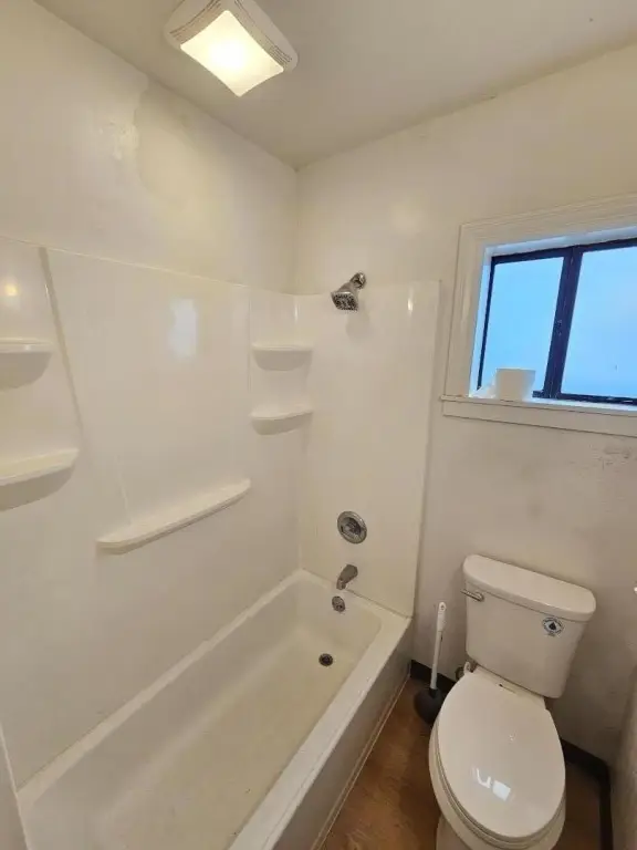 Picture 5