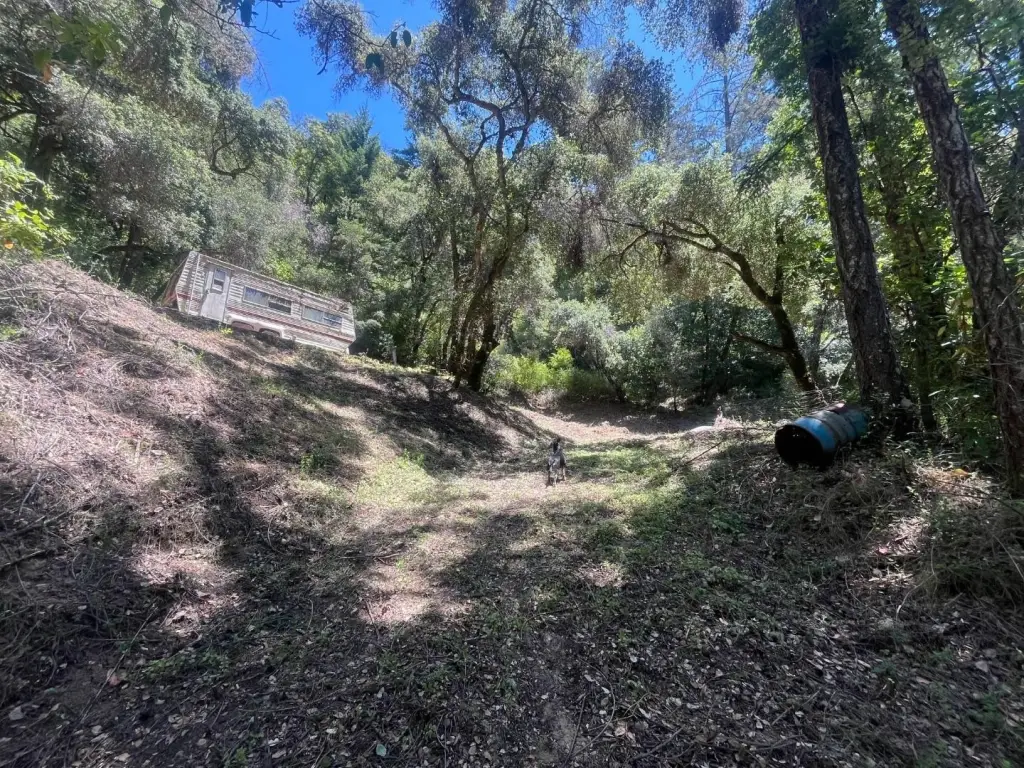 Picture 20