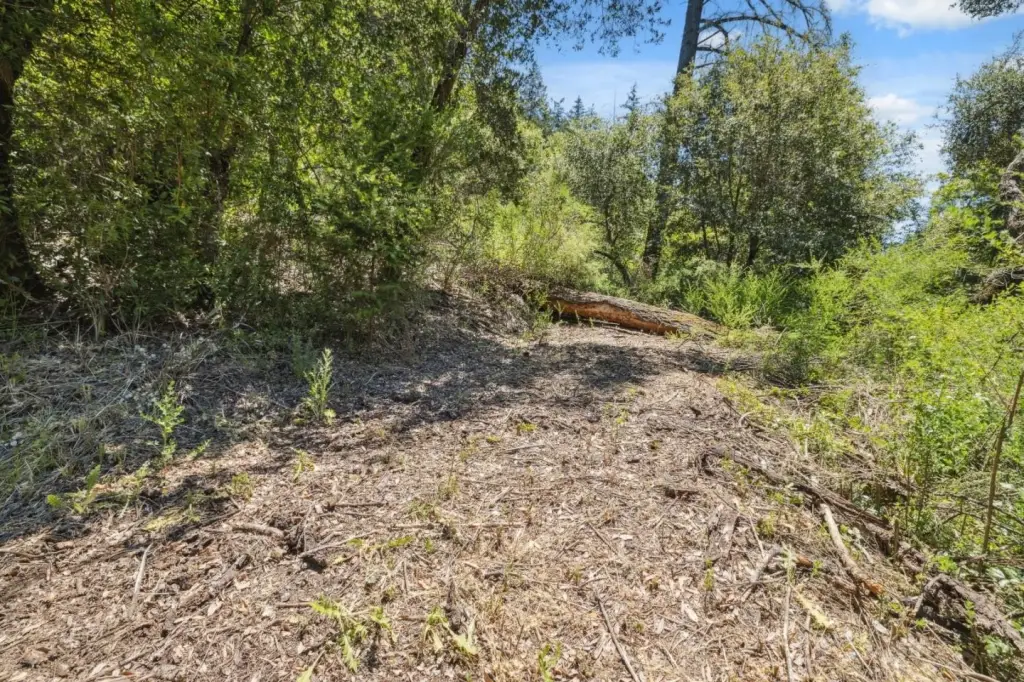 Picture 27