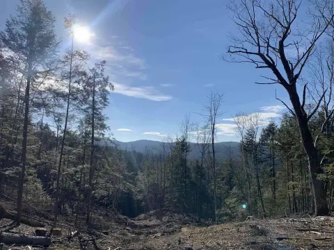 Winchester Land with Mountain Views