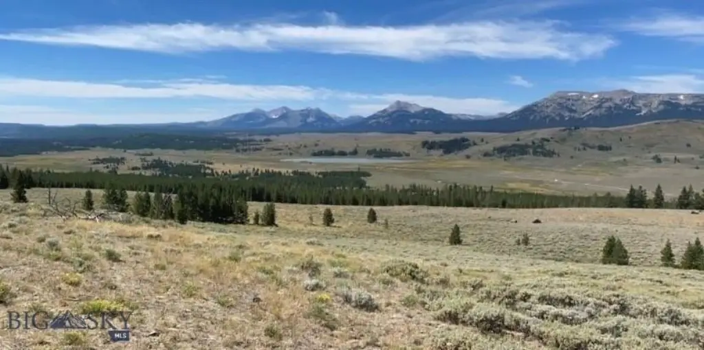Picture 42