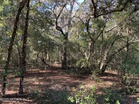 Wooded Acreage in Interlachen, FL