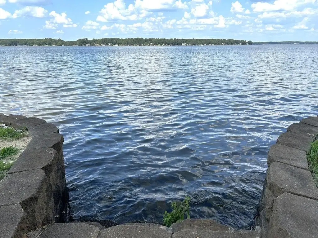 Picture 5