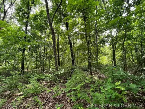 Secluded Land Near Lake Ozarks