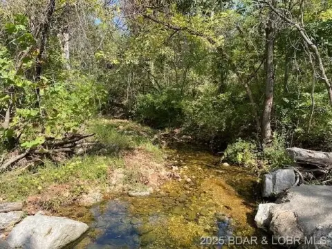 Camdenton Acreage: Recreational & Development Tract