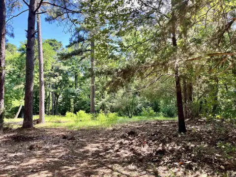 Recreation and Homesite Land