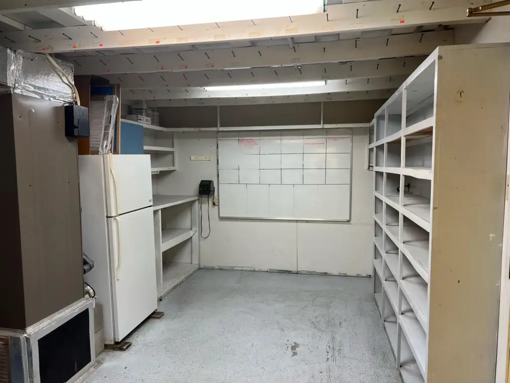 Picture 6