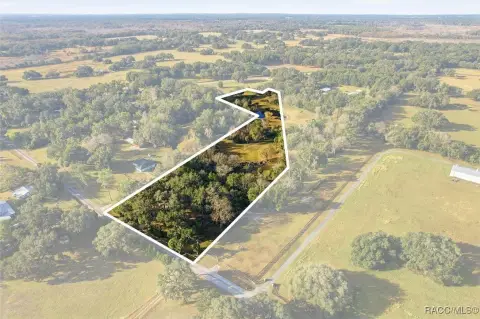 Floral City Land: Nature's Paradise