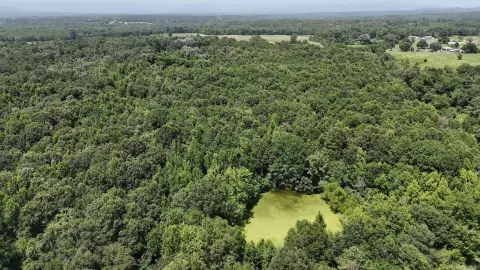 Wooded Recreational Land