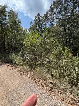 Highland, AR Acreage Available