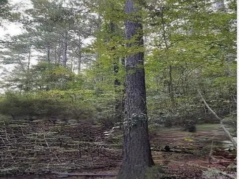 Texarkana Hunting Land with Timber