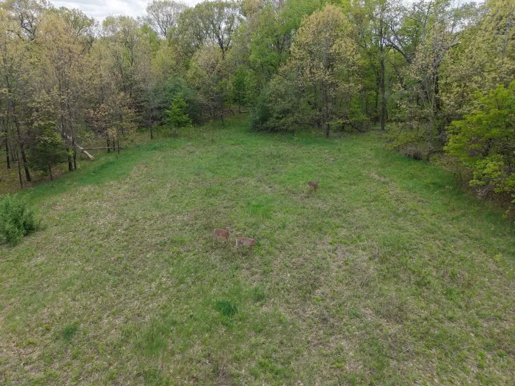 Picture 12