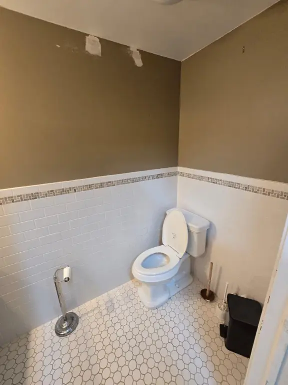 Picture 8