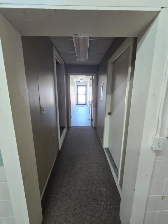 Picture 11