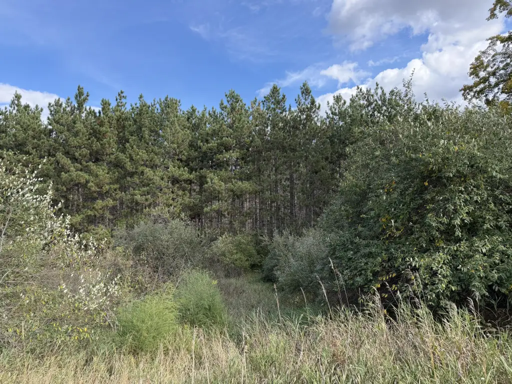 Picture 26