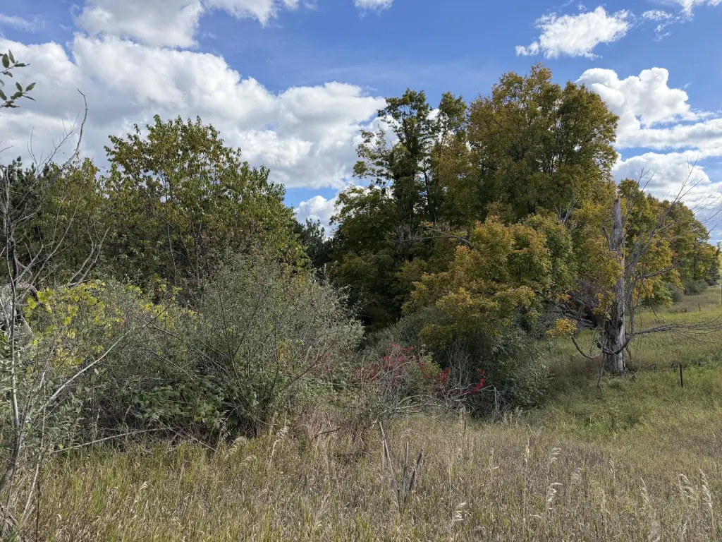 Picture 25