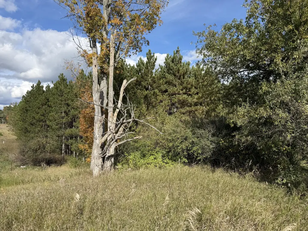 Picture 24