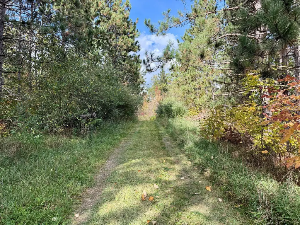 Picture 46