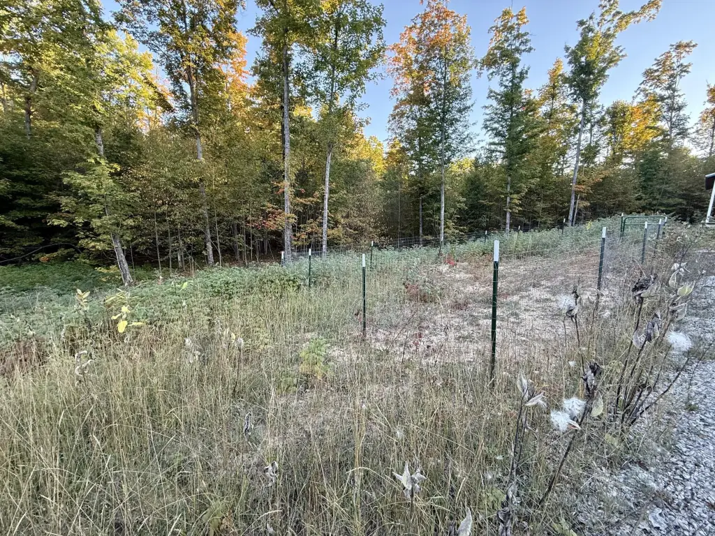 Picture 19