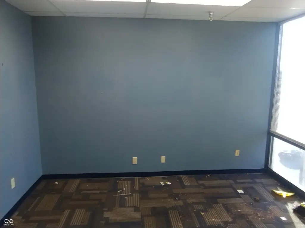 Picture 17