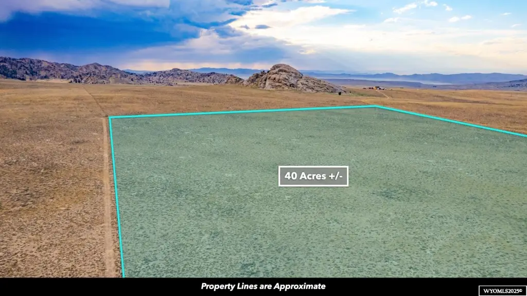 Picture 48