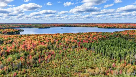 Mature Hardwood Hunting Land