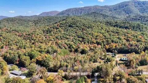 55 Acres in Ellijay, Georgia
