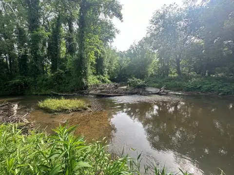 Warne, NC Vacant Lot