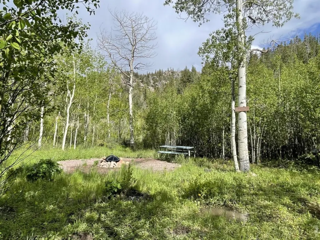 Picture 19