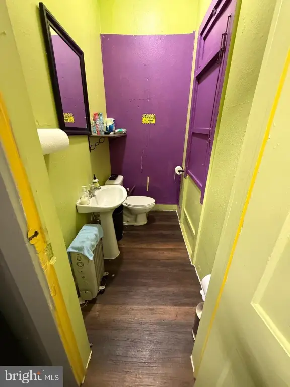 Picture 16