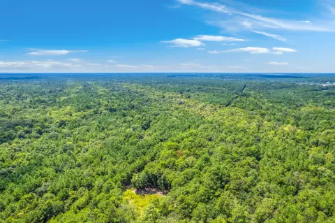 60-Acre Johns Island Land Parcel